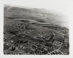 Aerial view of Rohnert Park, California, 1962