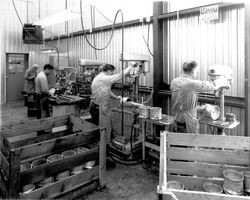 People doing various jobs at the MGM Brakes plant