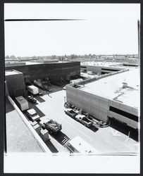 Access road behind Santa Rosa Plaza and parking structure, Santa Rosa, California, 1982