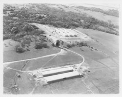 Redwood Ranch, Windsor, California, 1964