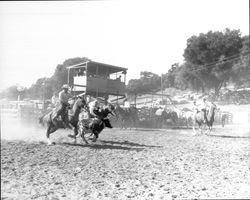 Rodeo at Palamino Lakes