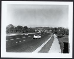 Looking north on Farmers Lane, Santa Rosa, California, 1963