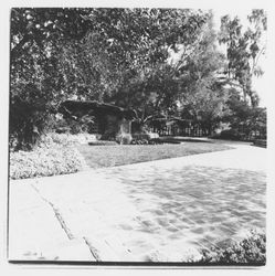 Views of Burbank Gardens, Santa Rosa, California, 1970