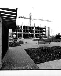 Eureka Federal Savings building under construction, Santa Rosa, California, November 11, 1971