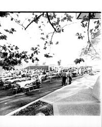 Exchange Bank employees at a picnic