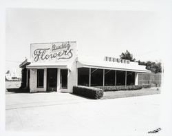 Quality Florists exterior, Santa Rosa, California, 1960