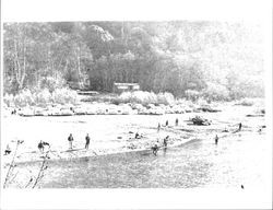 Fishing for steelhead in Russian River, Guerneville, California, 1957