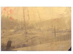 Looking southwest from Cemetery Hill at Guerneville, California after the fire of Aug. 14, 1894