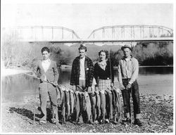 Days' catch from the Russian River, circa 1934