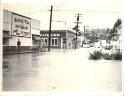 Looking north up Armstrong Woods Road during flood, Guerneville, California, 1955