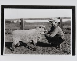 Don Weatherington--member of the Santa Rosa High School stock judging team