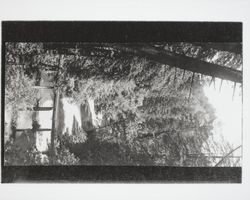 Northwestern Pacific Railroad trestle over Austin Creek at Elim Grove viewed from Austin Creek