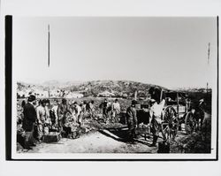 Loading grapes, Buena Vista Vineyard, California, Sonoma , California, 1870