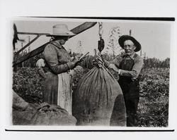 Man and woman weighing hops