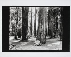 Two people in Armstrong Grove