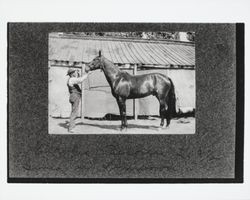 Charles Belden with horse Green Wood