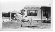 Ridding Horses