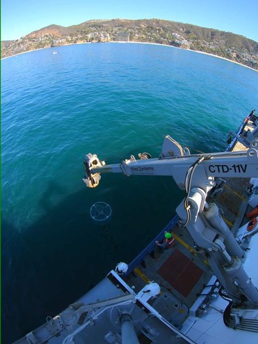 Bird's-eye CTD-Rosette Deployment