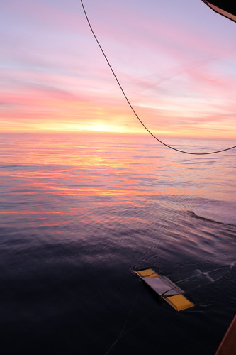 MANTA Net at Sunrise