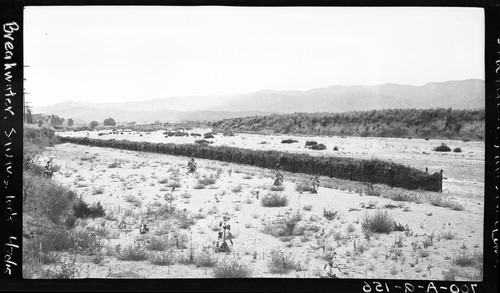 Brush Breakwater near Saugus, California