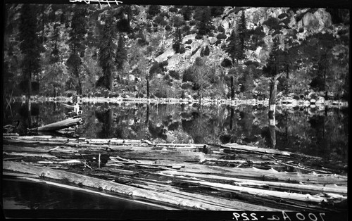 Debris gathered at Middle Dam on South Fork of Stanislaus River, Cal