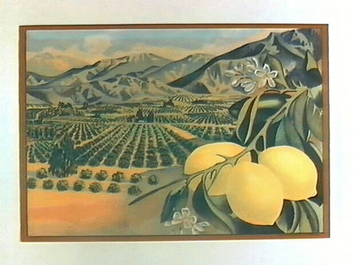 Stock label: three lemons on branch with orchard and mountains