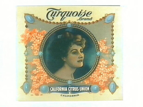 Turquoise Brand — Calisphere