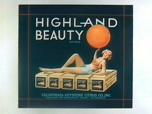 Highland Beauty Brand