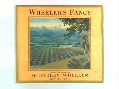 Wheeler's Fancy