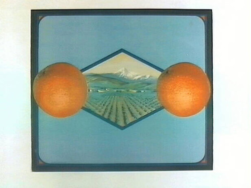 Stock label: two oranges with diamond vignette of orchards and mountains