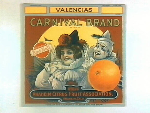 Carnival Brand