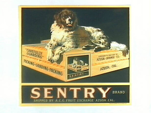 Sentry Brand