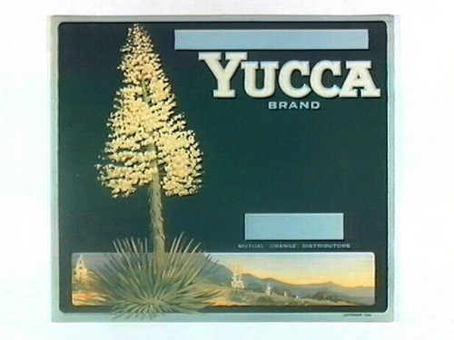 Yucca Brand