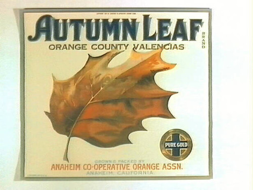 Autumn Leaf Brand