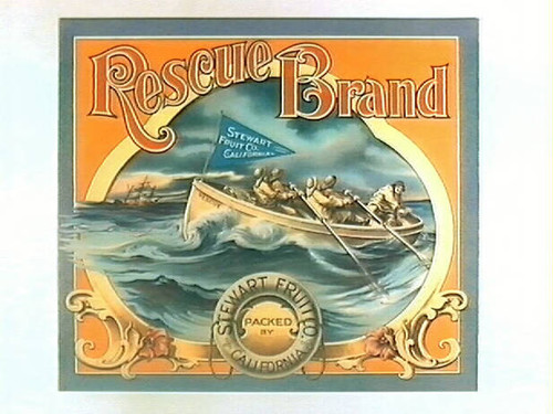 Rescue Brand