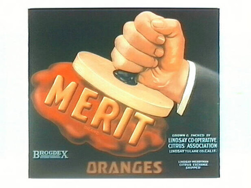 Merit Brand