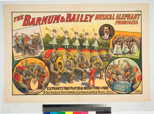 The Barnum & Bailey musical elephant prodigies