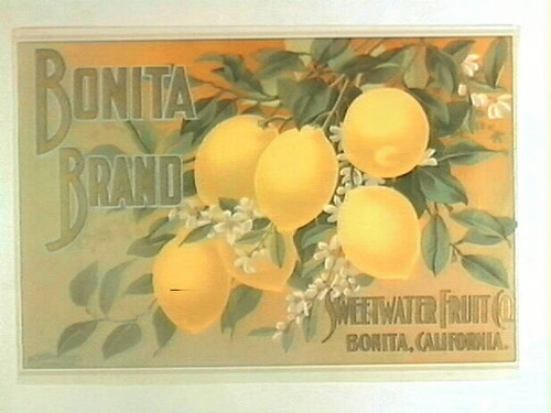 Bonita Brand