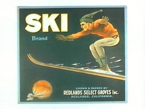 Ski Brand