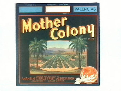 Mother Colony Brand