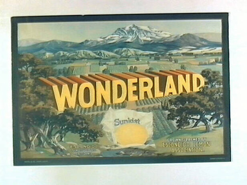 Wonderland