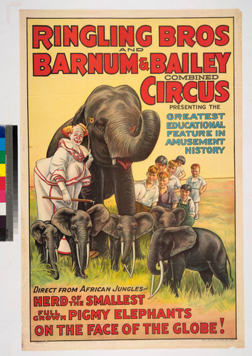 Ringling Bros and Barnum & Bailey Combined Circus presenting the greatest educational feature in amusement history : direct from the African jungles - herd of the smallest full grown pigmy elephants on the face of the globe!