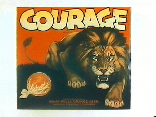 Courage Brand