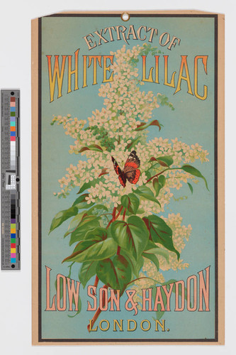 Extract of white lilac : Low Son & Haydon London