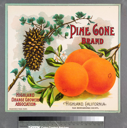 Pine Cone Brand