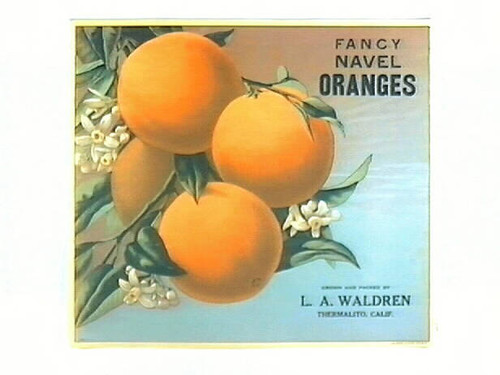 Fancy Navel Oranges