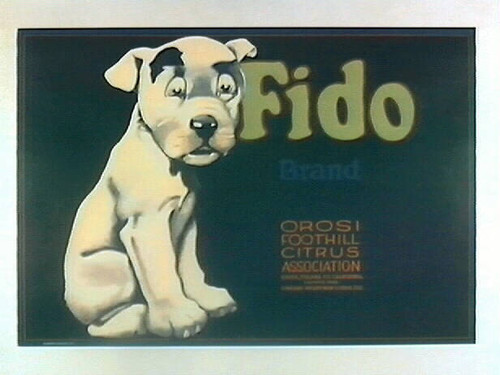 Fido Brand