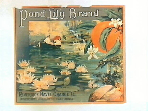 Pond Lily Brand