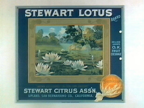 Stewart Lotus Brand