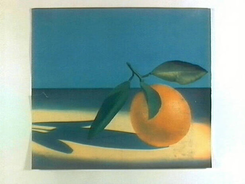 Stock label: orange with leaves in spotlight with shadow